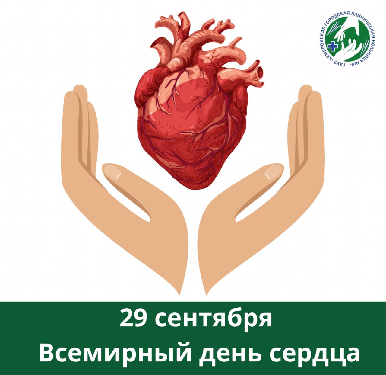 Всемирный день сердца проводится под девизом «Сердце для жизни».